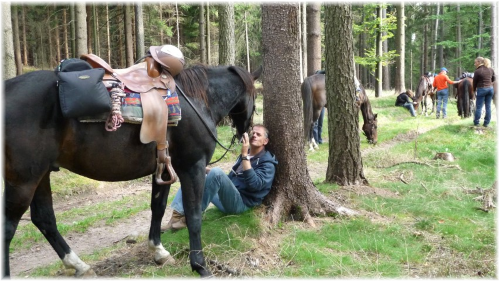 Rustpauze voor paard en ruiter