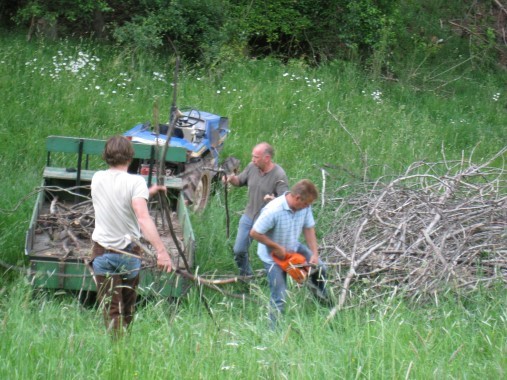 hout sprokkelen