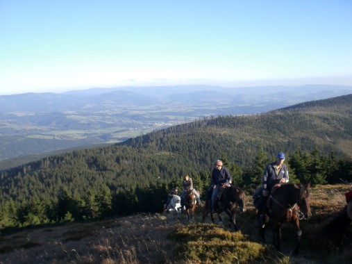 trots op de paarden