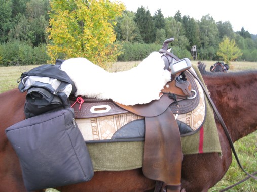 opgezadeld voor de trektocht